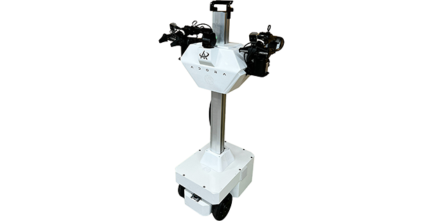 adora2 pro Feature 4